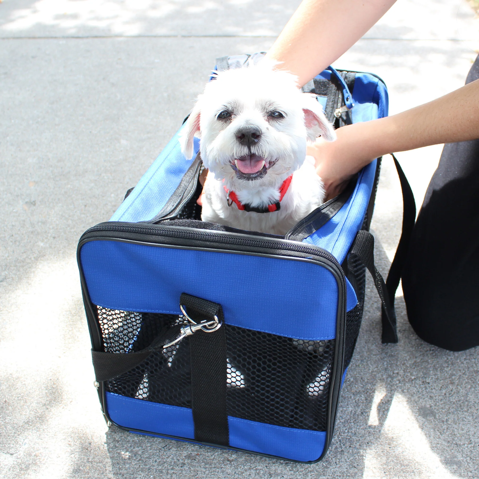 Emergency Pet Survival Kits - Dog or Cat Options - Image 12